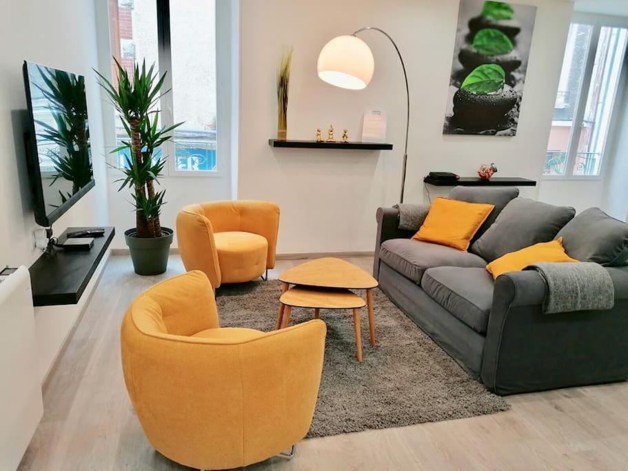 L'Harmonie 72M2 - 2 Chambres Parentales - Rue De La Halle - Hyper Centre Lourdes Bagian luar foto
